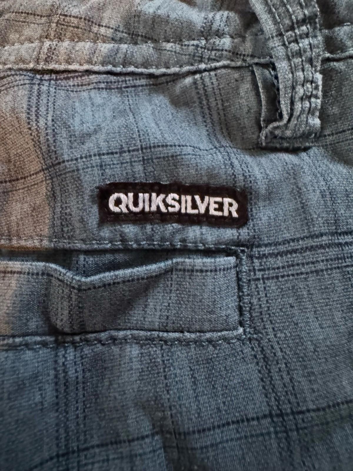 Quicksilver Amphibians Mens Board Shorts Bathing Suit 26